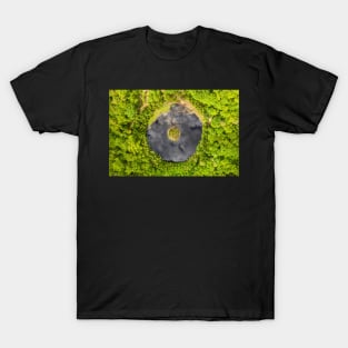 Round lake with island in the middle among forest T-Shirt